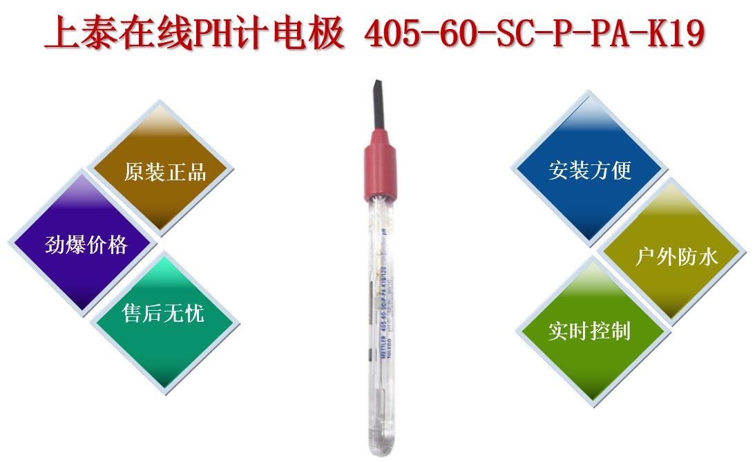 上泰在线PH计电极405-60-SC