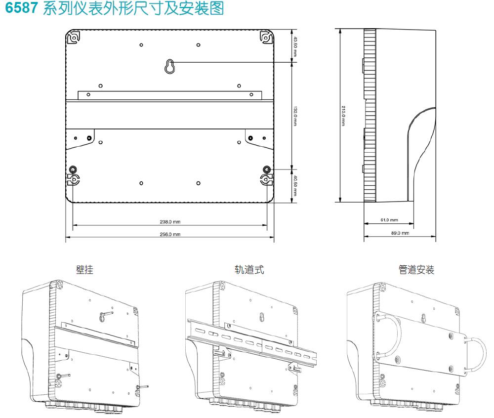 匹磁在线溶解氧测定仪BC6587